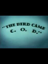 The Bird Came C.O.D.