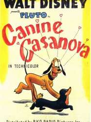 Casanova Canin