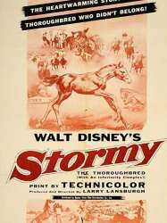 Stormy, the Thoroughbred with an Inferiority Complex