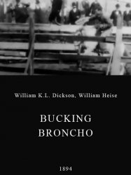 Bucking Broncho