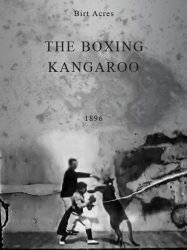 The Boxing Kangaroo