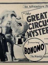 The Great Circus Mystery