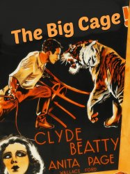 The Big Cage