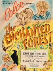 The Enchanted Forest