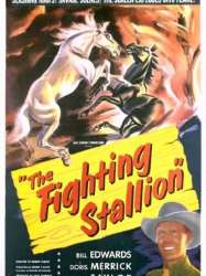 The Fighting Stallion