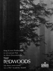 The Redwoods