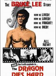 Il était une fois l'unique Bruce Lee