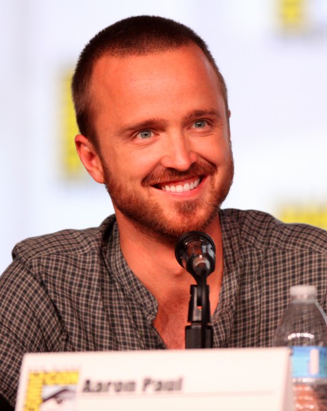 Aaron Paul