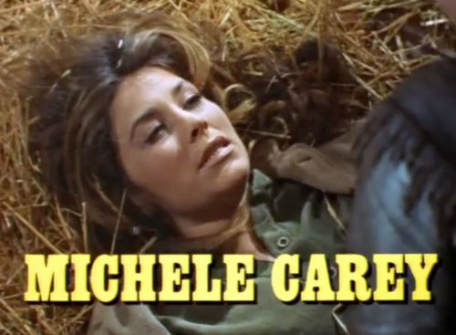 Michele Carey